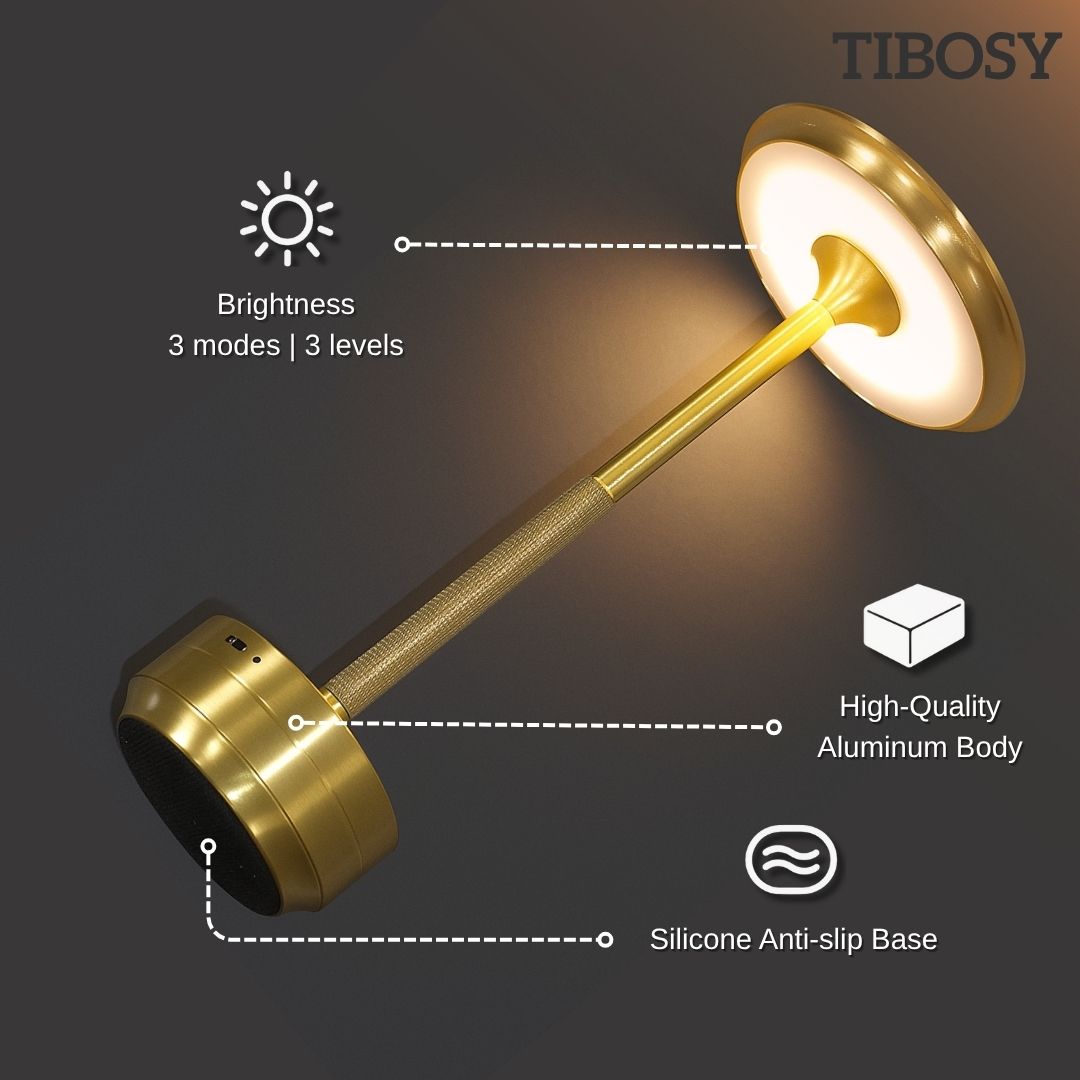 Tibosy table lamp close-up showing design details