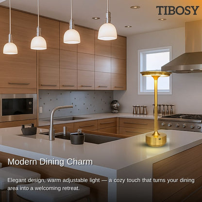 Modern dining area with table lamp accent lighting